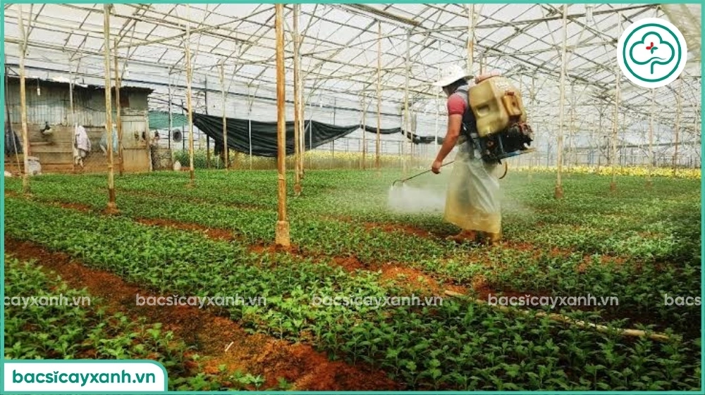 Thuốc trừ sâu sinh học có độc không